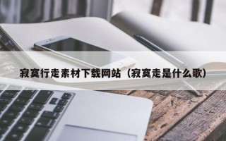 大丰寂寞行走素材下载网站（寂寞走是什么歌）