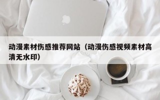 大丰动漫素材伤感推荐网站（动漫伤感视频素材高清无水印）