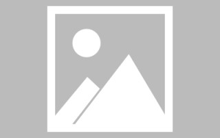 大丰广州专业搭建网站平台（广州网站建设方案开发）